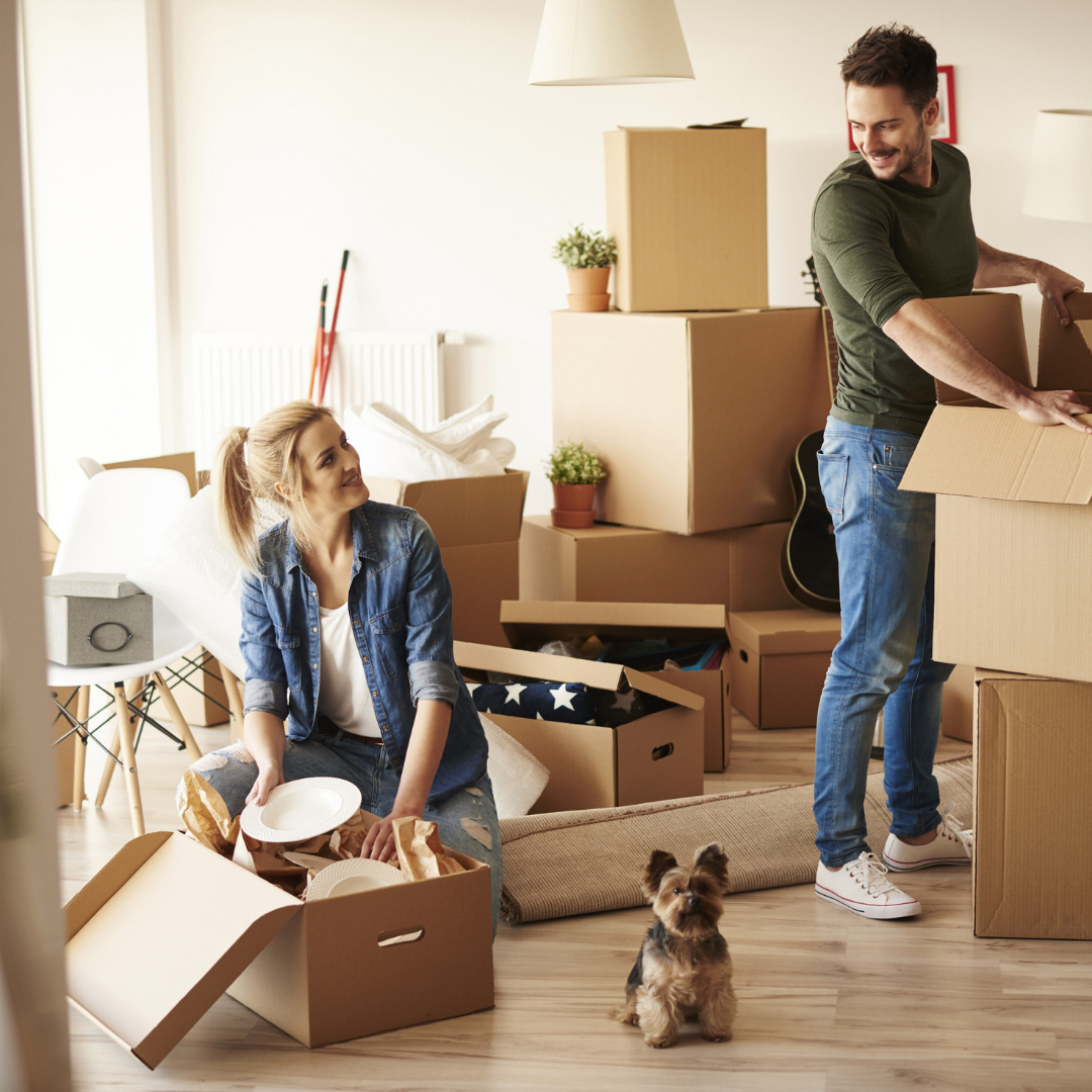 6 Things You Should Organise Before You Move Into Your New Home